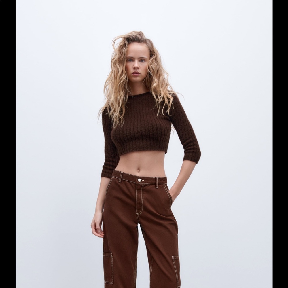 NWT ZARA Cropped Sweater